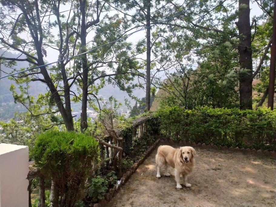 Whistling Thrush Cottage, Bhimtal Nainital Exterior foto